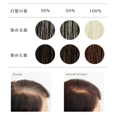 自然素材100%、髪にも肌にも優しい白髪染め ナイアード「ヘナ+木藍 黒茶」 (400g)
