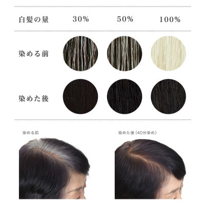 自然素材100%、髪にも肌にも優しい白髪染め ナイアード「ヘナ+木藍 黒」 (100g)