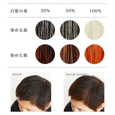 自然素材100%、髪にも肌にも優しい白髪染め　ナイアード「ヘナ+ハーブ」 (400g)