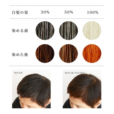 自然素材100%、優しい白髪染め「ヘナ100%」 (100g)&「ヘナ+木藍 黒茶」 (100g)