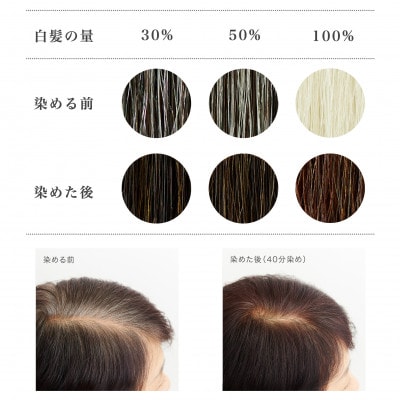 自然素材100%、優しい白髪染め「ヘナ100%」 (100g)&「ヘナ+木藍 黒茶」 (100g)