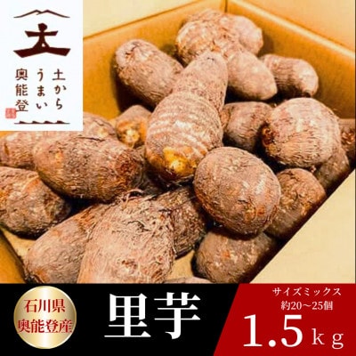 能登町産里芋 1.5kg