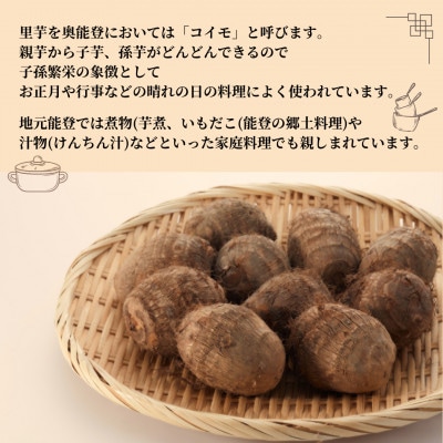 能登町産里芋 1.5kg