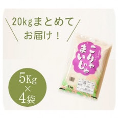 こりゃまいじゃ(能登町柳田産コシヒカリ) 精米5kgを4袋まとめてお届け!