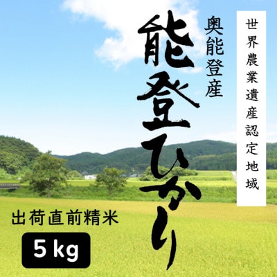 能登ひかり5kg【精米】