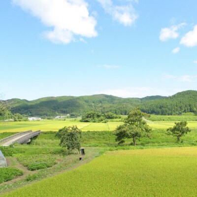 毎日食べたいグルテンフリーな昔ながらのおやつセット