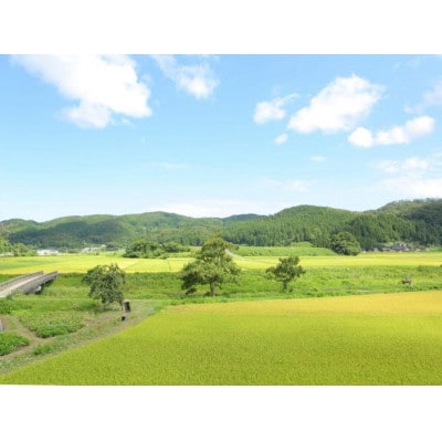 【復興支援】奥能登産「能登ひかり」米糀あまざけ500ml×3本