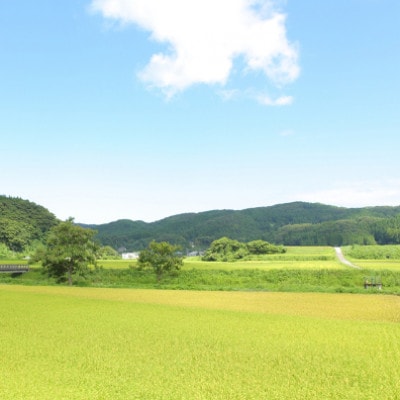 奥能登産「能登ひかり」米糀あまざけ　プレーン2本とブルーベリー1本の3本セット