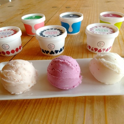 【石川県/能登町】notono フローズンヨーグルトアイスミルクセット(12個入)