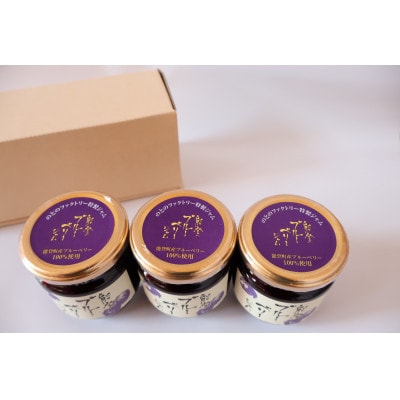【石川県/能登町】能登町特産品ブルーベリージャムセット(3個入)