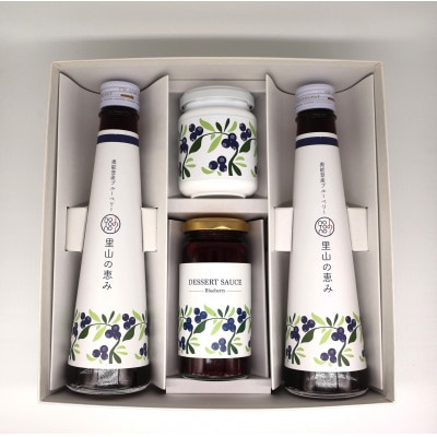 notono里山ブルーベリーセット(大)