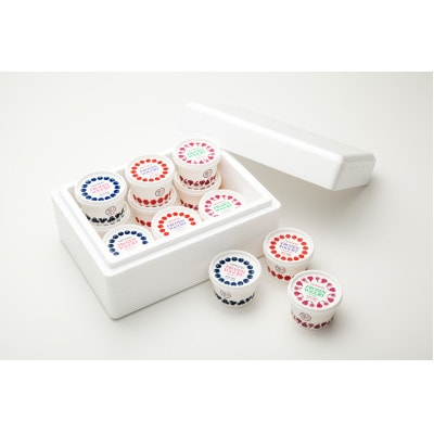 notonoフローズンヨーグルトセット(12個入り)