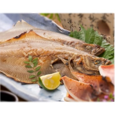 能登・一本釣いかと一夜干しセット