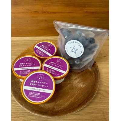 ジェラート4個とフローズンブルーベリー200gセット