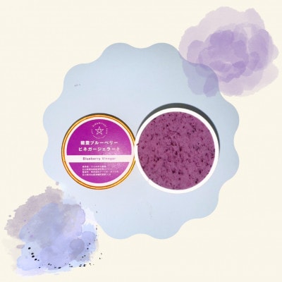 ジェラート4個とフローズンブルーベリー200gセット