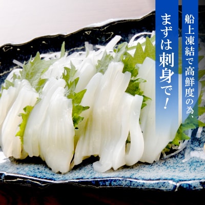 石川県産　船内凍結するめいか