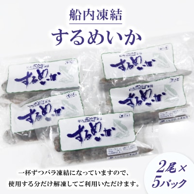 石川県産　船内凍結するめいか
