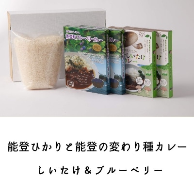 能登ひかりと変わり種カレーセット(のとっこしいたけ&ひらみゆき農園ブルーベリー)