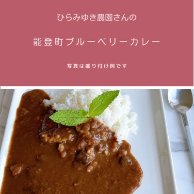 能登ひかりと変わり種カレーセット(のとっこしいたけ&ひらみゆき農園ブルーベリー)