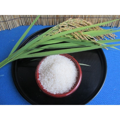 令和6年産奥能登柳田米能登ひかり5kg
