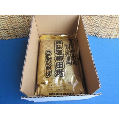 令和6年度産奥能登柳田米こしひかり5kg