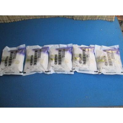 令和6年産　奥能登柳田米こしひかり　ミニ2(1kg×5)