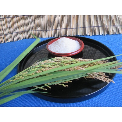 令和6年産　奥能登柳田米こしひかり　ミニ2(1kg×5)