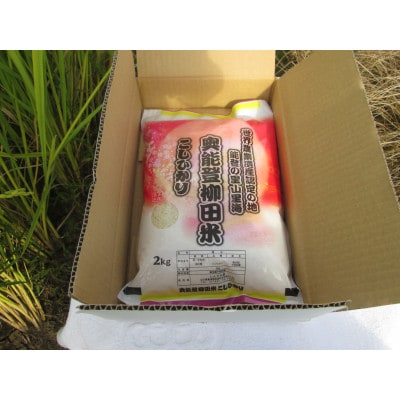 奥能登柳田米　こしひかり2Kg