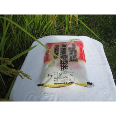 奥能登柳田米　こしひかり2Kg