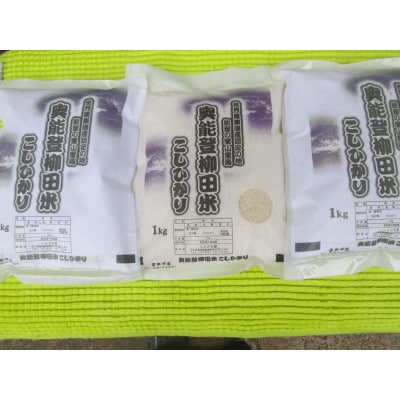 令和7年産　奥能登柳田米こしひかり　ちょっといい　1Kg×3　精米