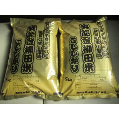 令和7年産　奥能登柳田米こしひかり　10kg(5Kg×2袋)精米
