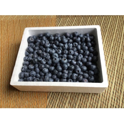 【産地直送】能登の完熟新鮮ブルーベリー約1kg