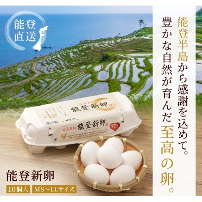 純真無垢 「NOTO新卵(のとしんらん)」と贅沢卵加工品 4種詰め合わせバラエティセット