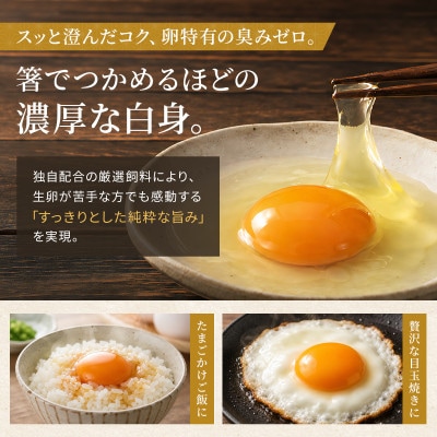 能登新卵10個入り 計30個