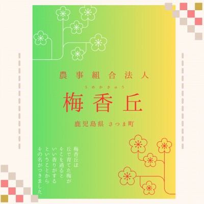 はちみつ漬け梅干し(計800g・400g×2箱)3L~4Lサイズ!鹿児島県産蜂蜜使用!