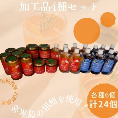 加工品4種セット:ブルーベリーソース・十万みかん加工品(シロップ漬・ソース・ジャム)各6個の計24個