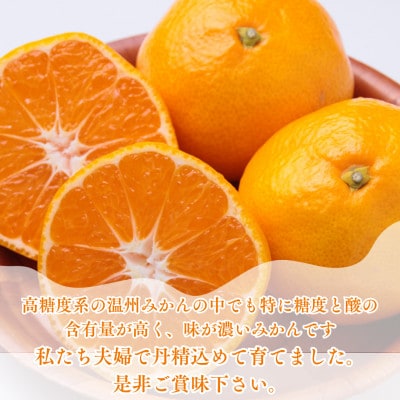 十万温州みかん　10kg