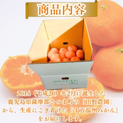 十万温州みかん　5kg