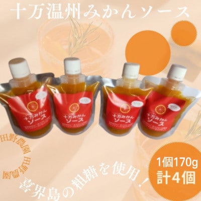 十万温州みかんソース(計4本・1本170g)