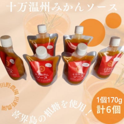 十万みかんソース(計6本・1本170g)