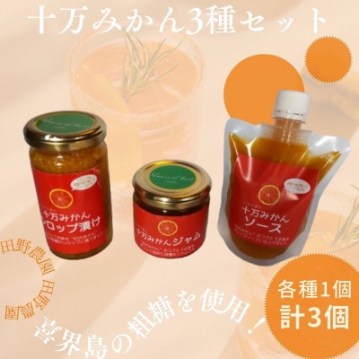 十万みかん加工品3種セット(シロップ漬け・ソース・ジャム各1個・計3個)
