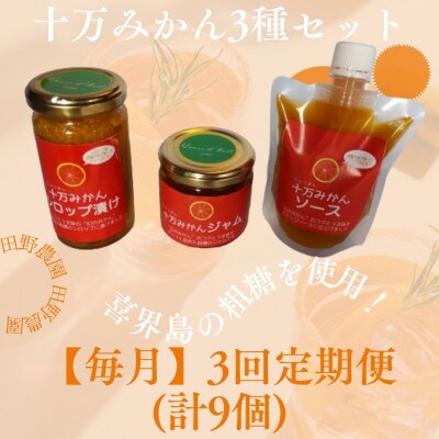 【毎月定期便】十万みかん加工品3種セット(シロップ漬け・ソース・ジャム　合計9個)全3回