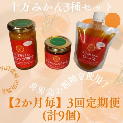 【2ヵ月毎定期便】十万みかん加工品3種セット(シロップ漬け・ソース・ジャム　合計9個)全3回