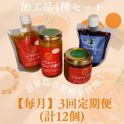 【毎月定期便】4種セット(ブルーベリーソース・みかん(シロップ漬け・ソース・ジャム))全3回