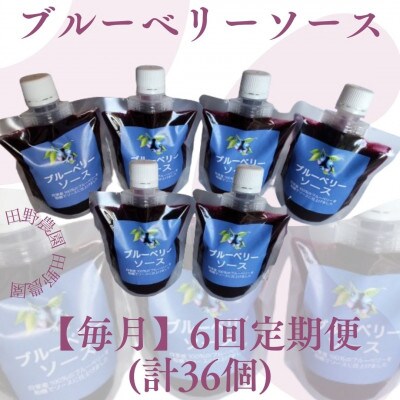 【毎月定期便】ブルーベリーソース6本 (計36本・1本200g)全6回