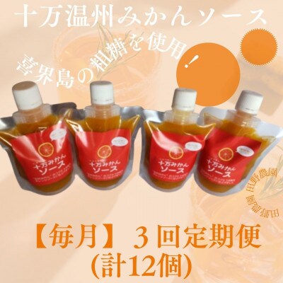 【毎月定期便】十万温州みかんソース4本 (計12本・1本200g)全3回