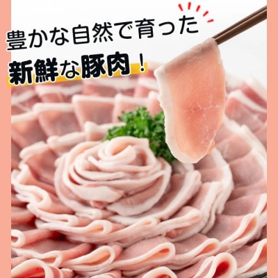 <訳あり> 鹿児島県産 豚ロース スライス 計2kg 豚肉 小分け 国産 【コワダヤ】