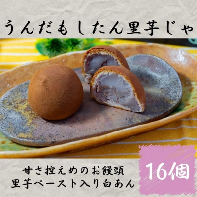 うんだもしたん里芋じゃ(16個)鹿児島県さつま町産の里芋を使用した焼き菓子!