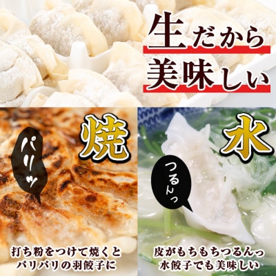 タレ付き!鹿児島うんまか豚生餃子(計108個・12個入り×9P)
