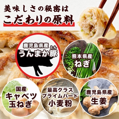タレ付き!鹿児島うんまか豚生餃子(計108個・12個入り×9P)